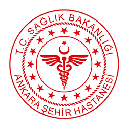 ankara-sehir ankara-sehir